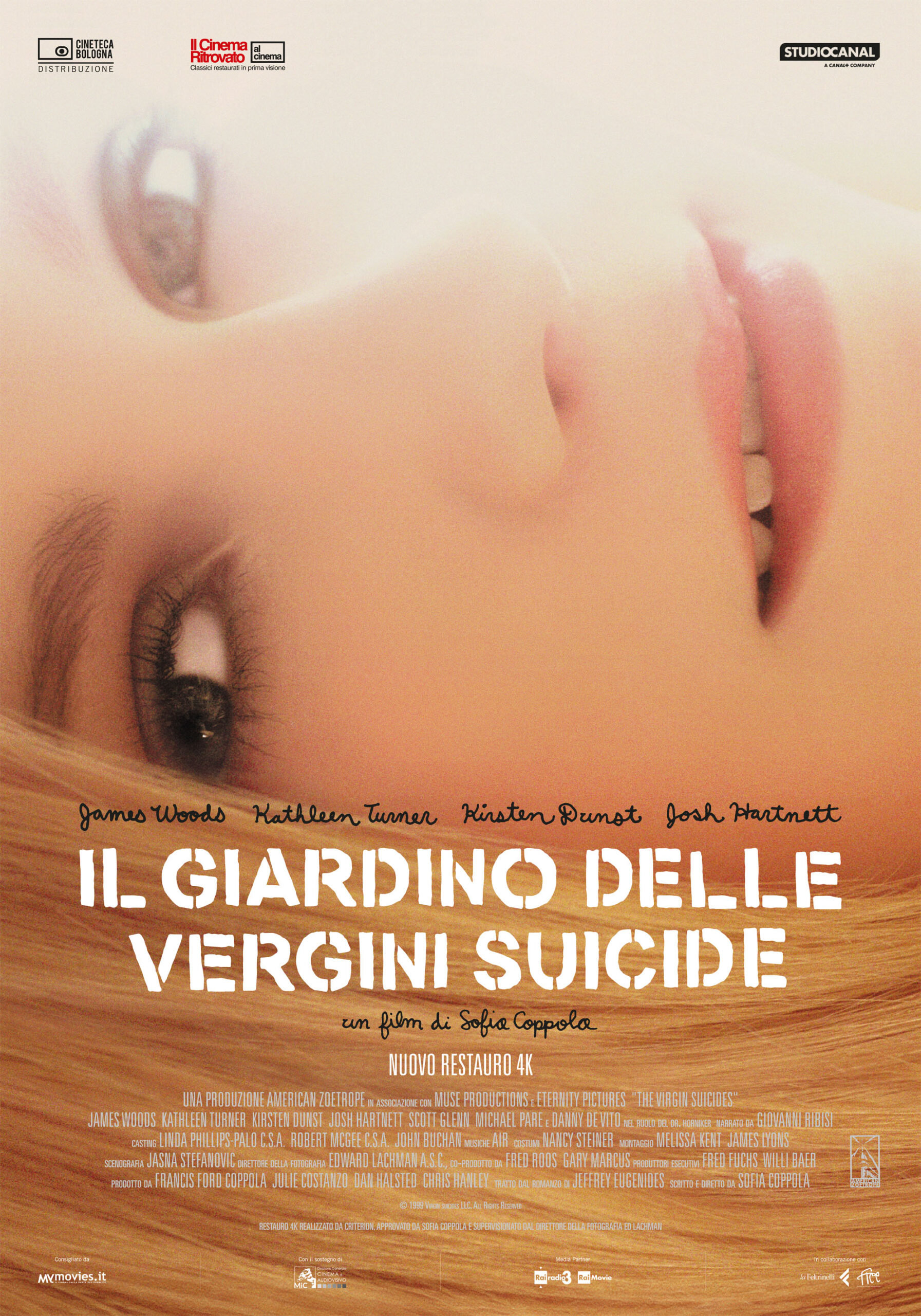 Il giardino delle vergini suicide